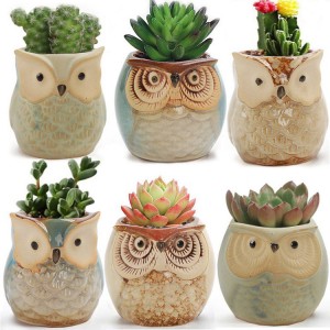 6 Pack Owl Pot; Ceramic Flowing Glaze Base Succulent Planter Cactus Flower Pot Container Planter Bonsai Pots with A Dra