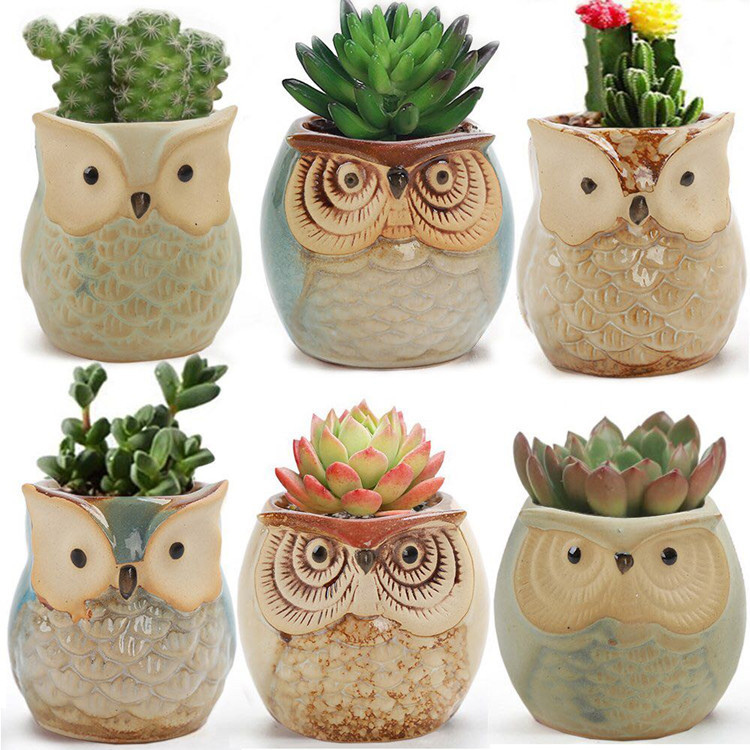 6-Pack-Owl-Pot-Ceramic-Flowing-Glaze