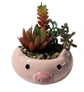 Artificial Succulent Plants Indoor Series Plastic Decorative Grass Cactus Plant Pots