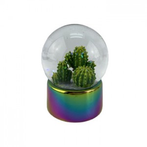 Custom Water Globe, Customized Water globe photo frame; Led Water Globe; Cactus Snow Globe With Elctroplated Rainbow Base