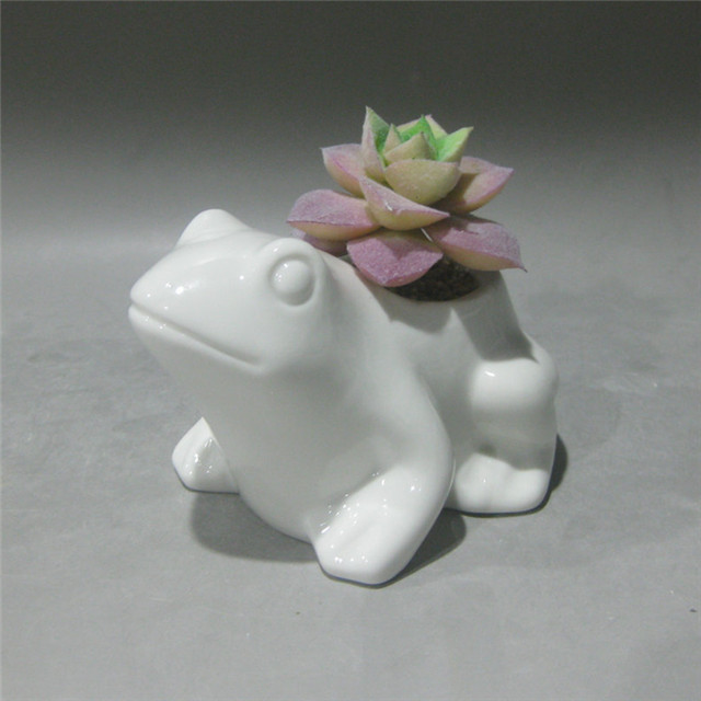 Ceramic Pot White,Frog  Planter Succulent Plant Cactus Flower Porcelain Holder Container Home Office Decoration