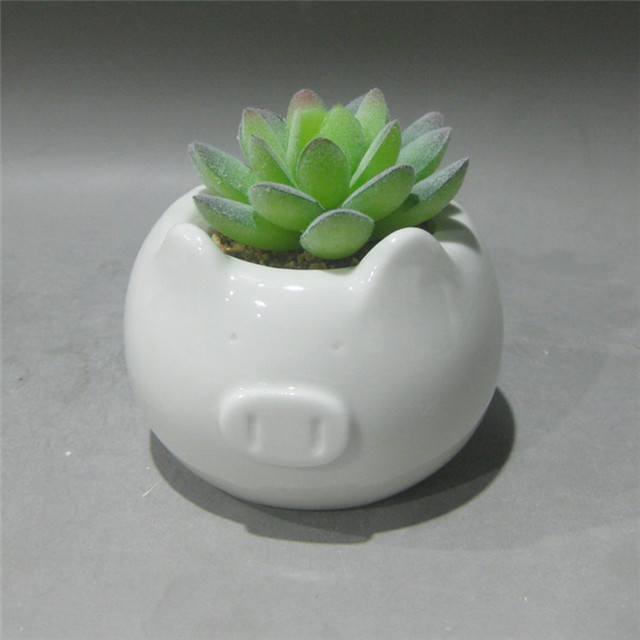 Cartoon White Pig Succulent / Cactus pots  Custom ceramic planter hand made