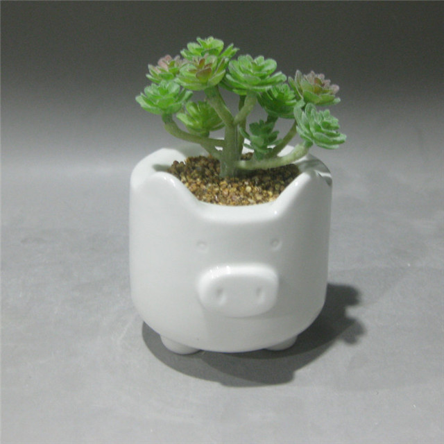 White Pig Ceramic Succulent Plant Pot/Cactus Flower Pots Animal  Succulent Planter Desk Mini Ornament