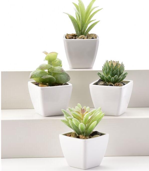 MINI SUCCULENT IN POT, 4 ASST. With DISPLAYER