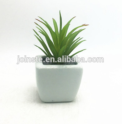 White ceramic potted tropical flower for promotion gift