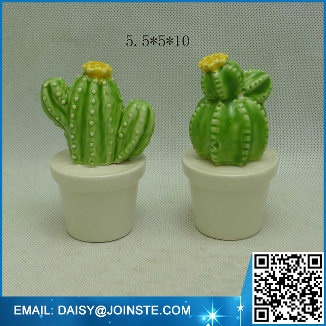 mini cactus succulent plants decoration,mini cactus decoration
