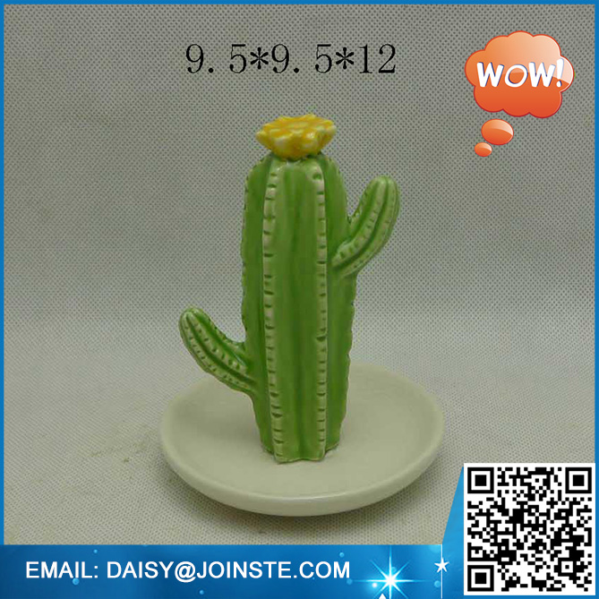 wholesale cactus,cactus,cactus and succulents