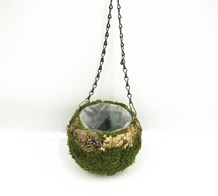 Round moss  hanging basket