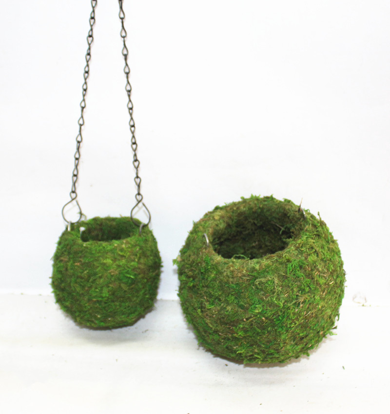 Moss hanging basket flower pot