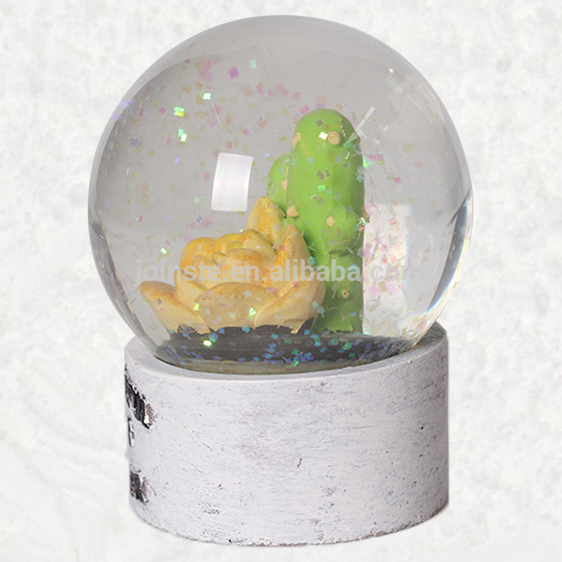 Cactus snow globe,cactus water globe,Flower snow globe