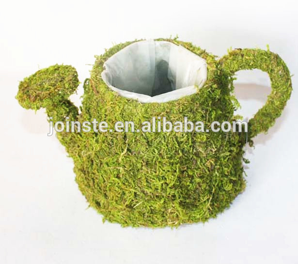 Moss kettle flower pot, moss tea pot
