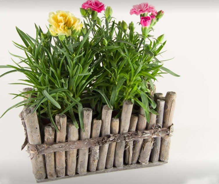 Natural driftwood basket ,wood twig planters
