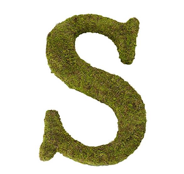 Moss Letter for Home Decor, 15-Inch, Monogram S