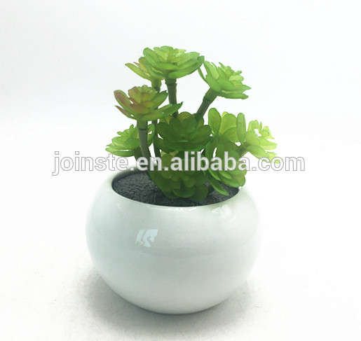 Small artificial l premiums potted succulent