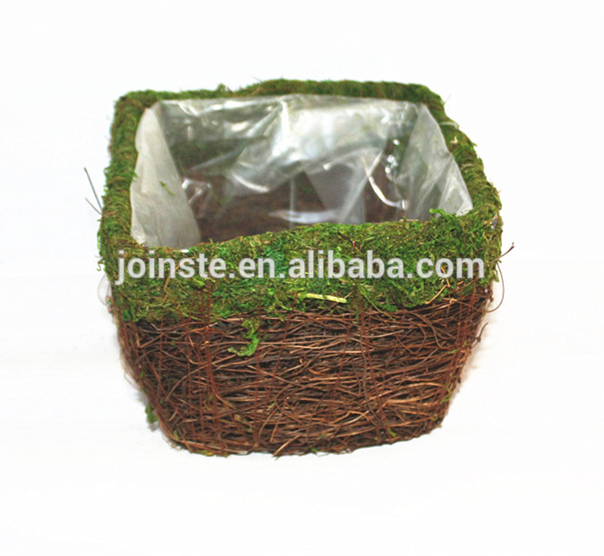 Salim vine square basket planters with moss