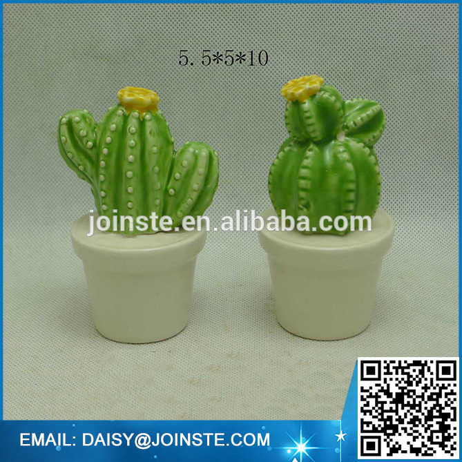 mini colorful cactus plants thailand,baby cactus plant