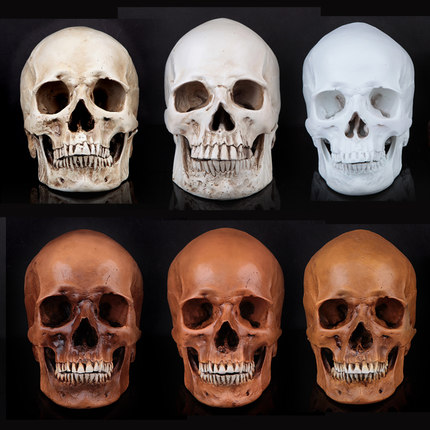 Custom resin skull head,resin animal skull,flat back resin skull