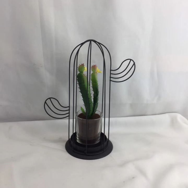Custom metal cactus molding  metal lantern for planter pot decoration