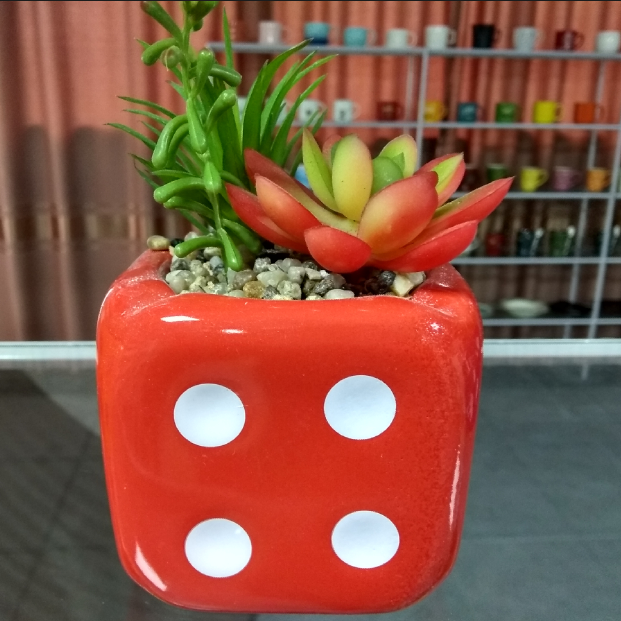 Ceramic Dice flower pot,Dice plant pots,Dice flower planters