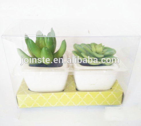 Set of two white ceramic potted succulent