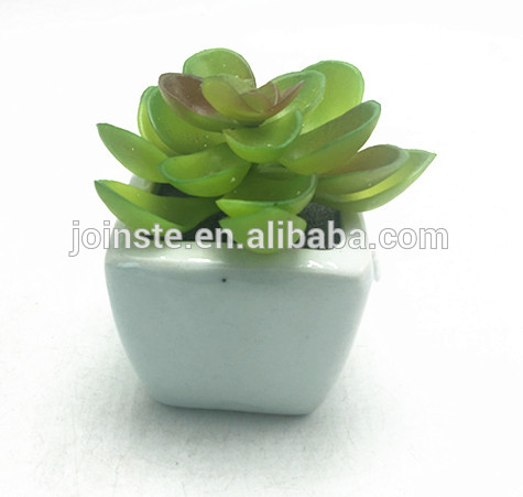 Mini artificial l promotional potted succulent