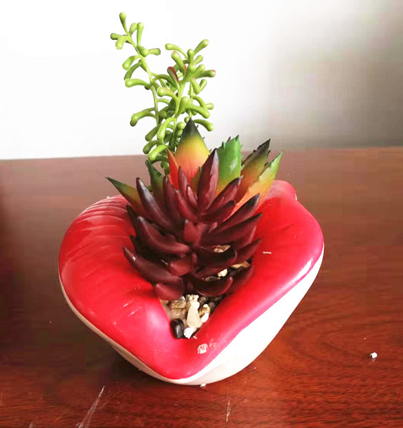 Lip design flower pot with succulent assorted
