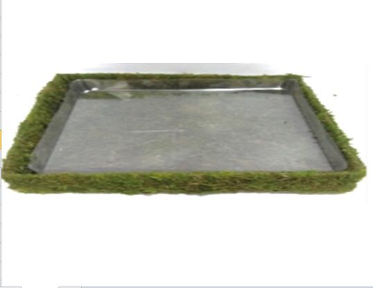Moss square  plate ,moss large trays
