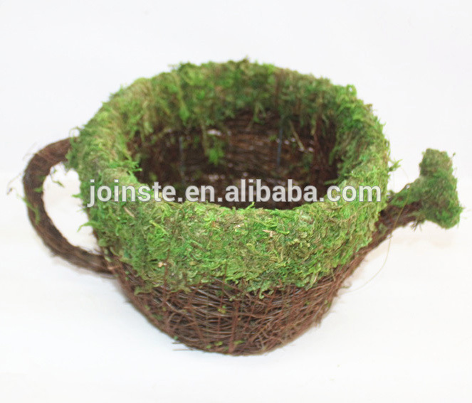 Moss salim kettle flower pot