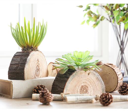 Natural wooden log with pot for flower