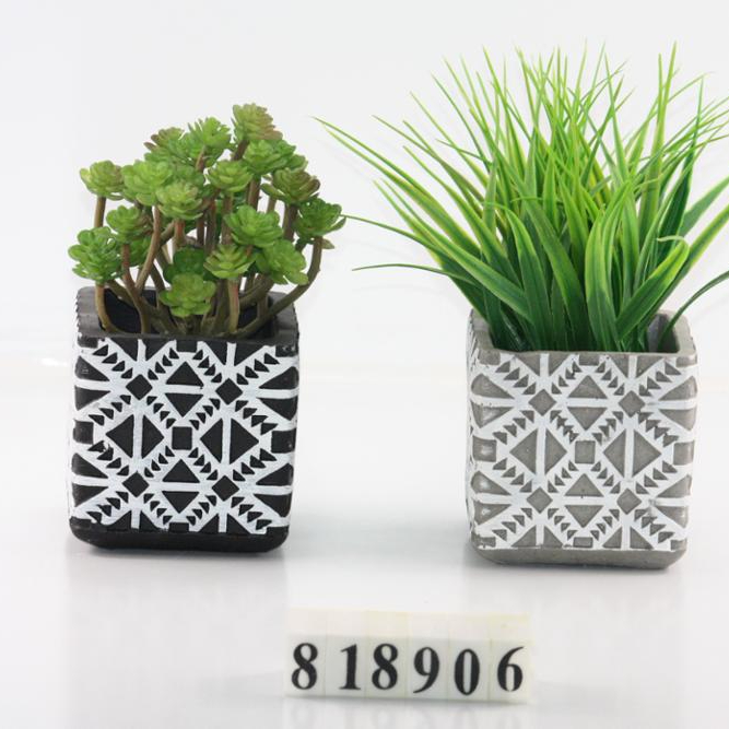 Square coted succulent cement  planters for outdoor Featured Image