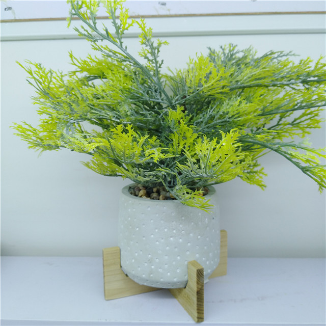 Cement Ronde vorm planter pot bloempot met houten tribune