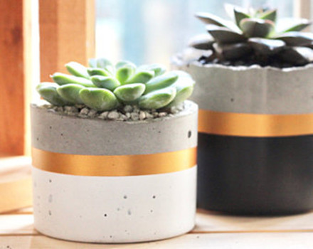 Cylinder gold and black succulent cement planters