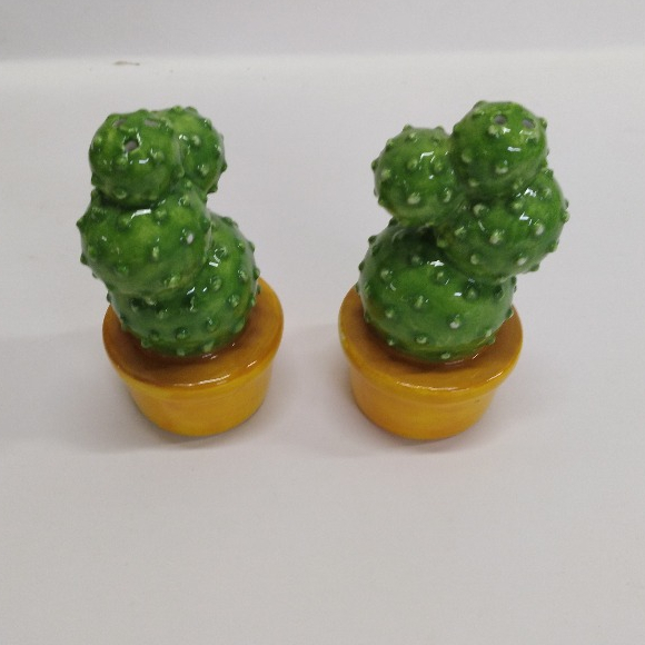 Cactus shaped ceramic hand paint salt and pepper shaker set