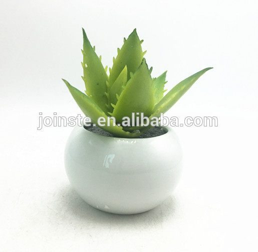 Artificial aloe white ceramic potted
