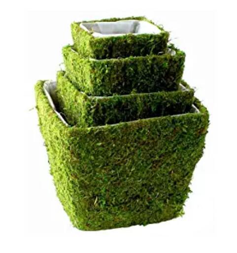 Square moss basket set of four