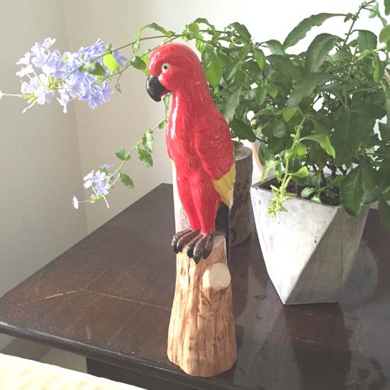 Ceramic Parrot Birds for garden decor