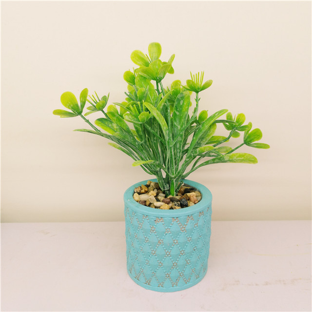 Succulent Caementa mini urna, Decor Est fecit Eandem Caementa