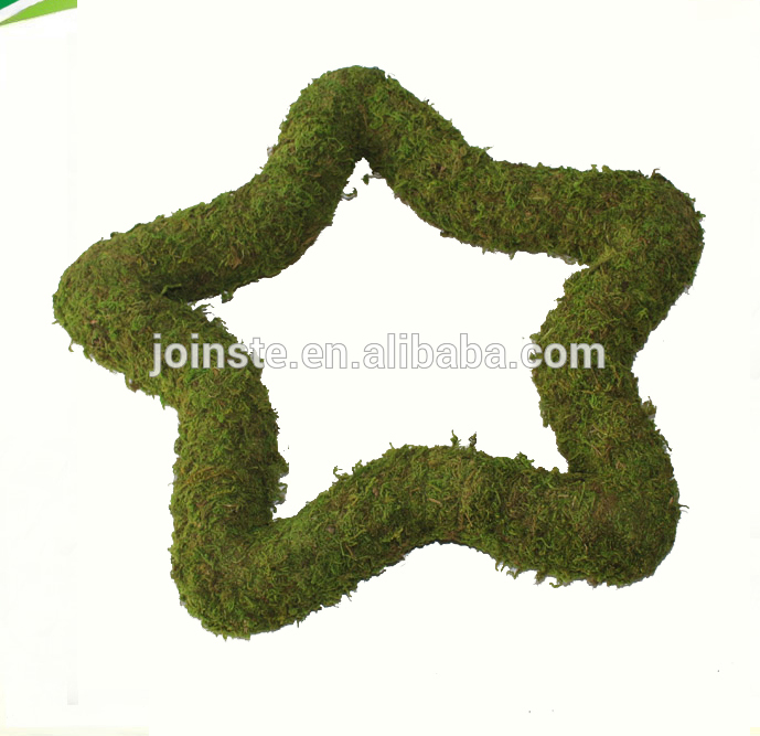 Moss star hanging decorations