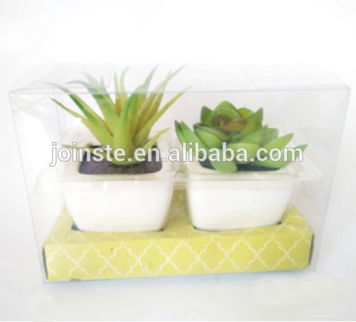 Mini artificial succulent promotion gift in pvc box