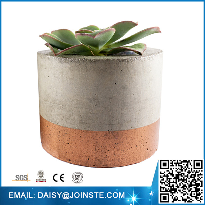 succulent cement pot Clay flower pot