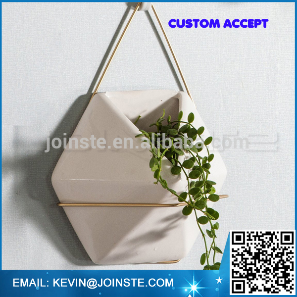 Hanging Planter For Indoor Plants, Geometric Wall Decorative Flower Pot