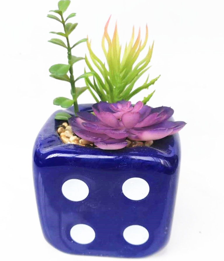 Dice flower potted artificial plant succulent