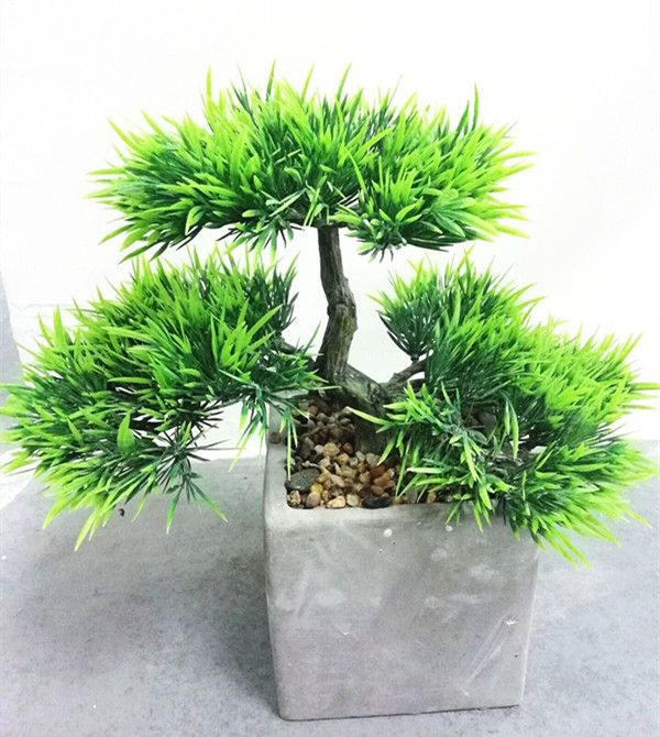 Artificial   pine tree  bonsai