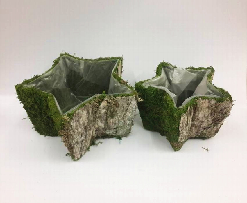 Moss and bark star shaped planters ,star shape planter pot