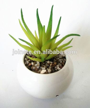 Potted artifical succulent plant