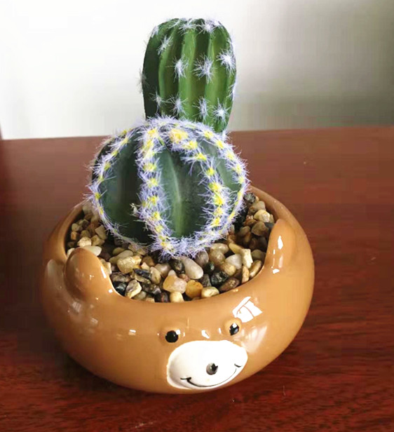 Assorted bear pot  artificial cactus  succulent