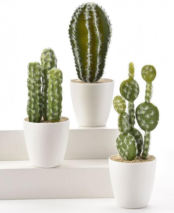 CACTUS IN POT With  DISPLAYER, 3 ASST.