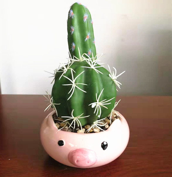Animal pot artificial cactus ,pig potted artificial cactus