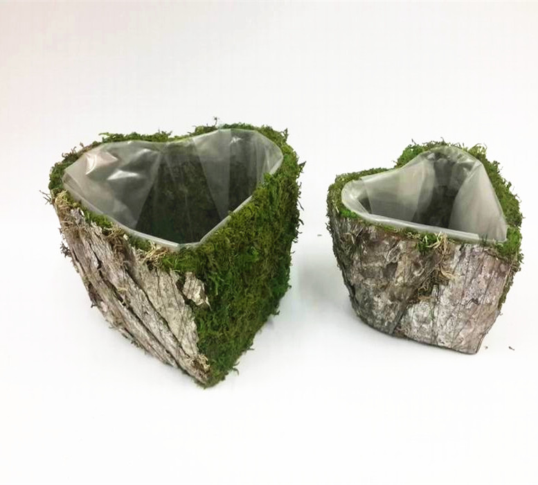 Moss and bark star shape planter pot