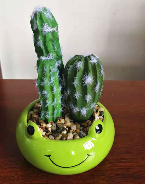 Assorted artificial cactus  with  frog pot